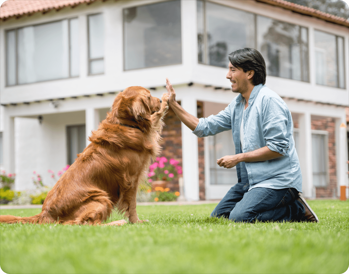 Dog and owner bonding outdoors