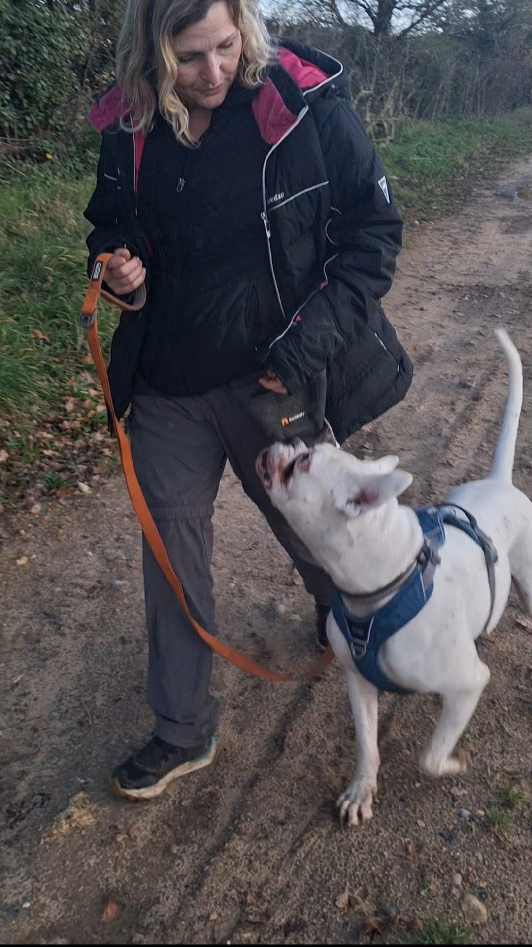 Person and dog enjoying outdoor stroll