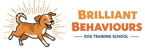 Brilliant Behaviours