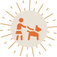 Behaviour Modification Programmes